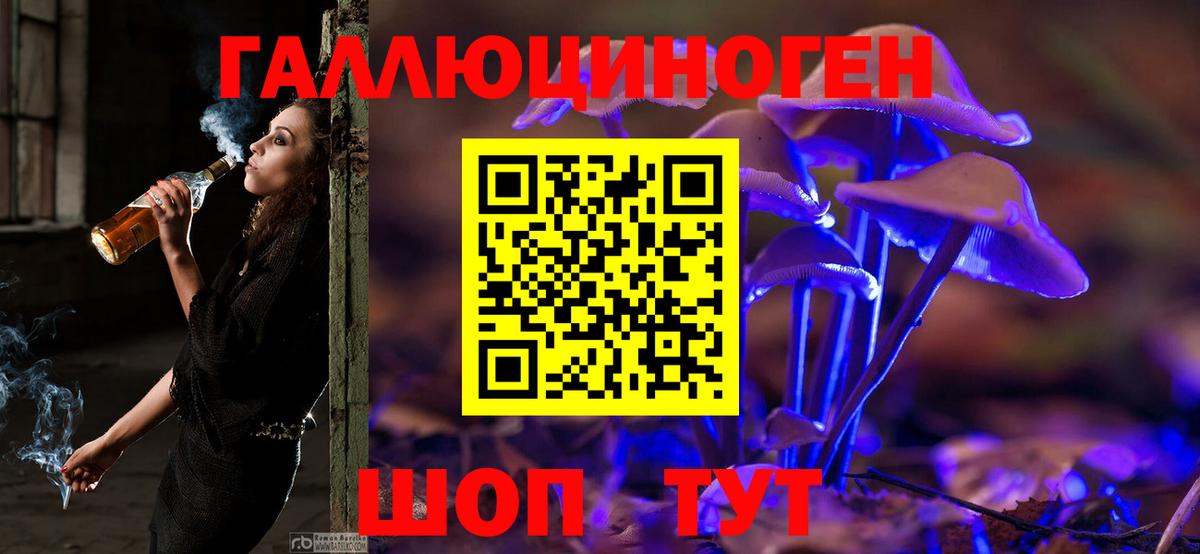 Галлюциногенные грибы Psilocybine cubensis Полысаево